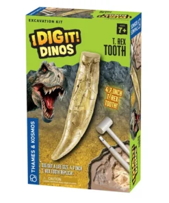 I Dig It! Dinos - T. Rex Tooth Excavation Kit